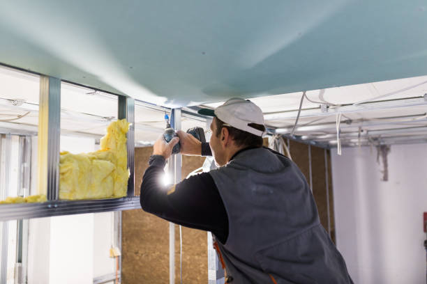 Best Geographic-Specific Insulation Services in Virginia, MN