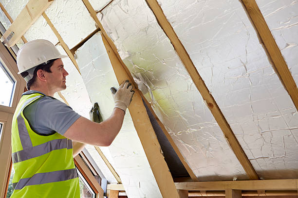 Best Eco-Friendly Insulation in Virginia, MN