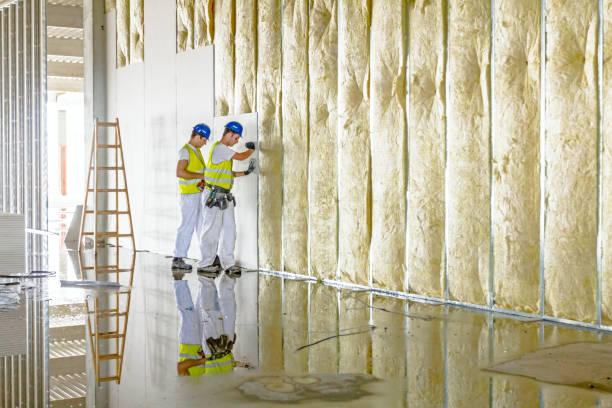 Virginia, MN Insulation Contractor Company